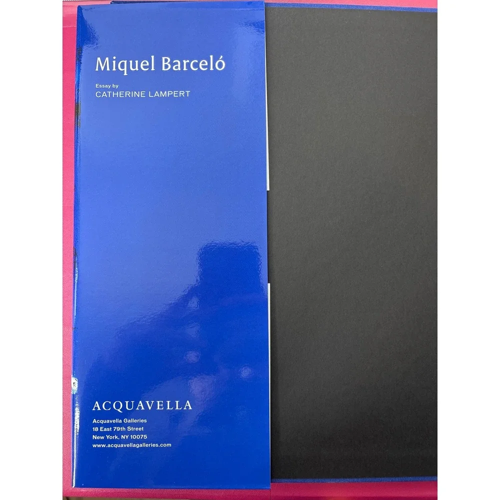 Miquel Barcelo 2016 Art‎ Exhibition Catalog Acquavella Galleries Hardcover Book
